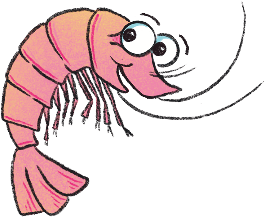 prawn illustration on a plain background
